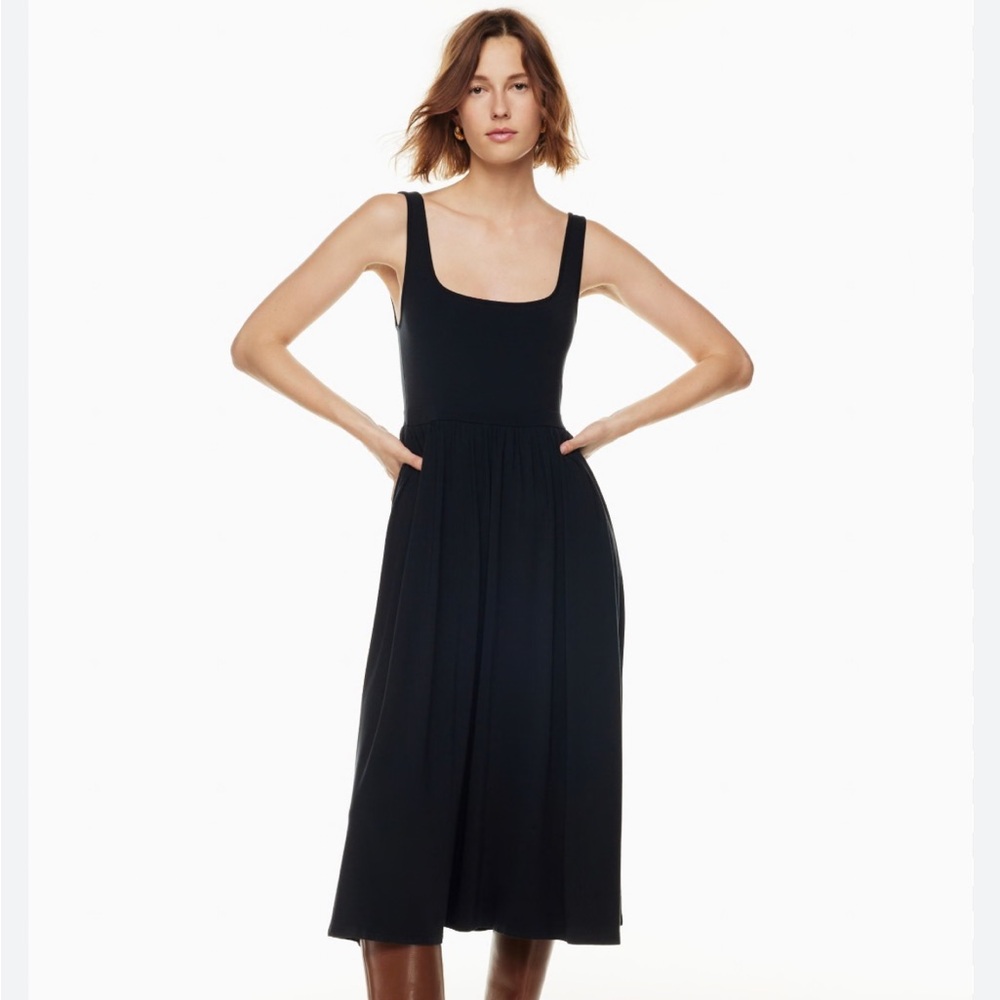 Aritzia Wilfred Market Dress